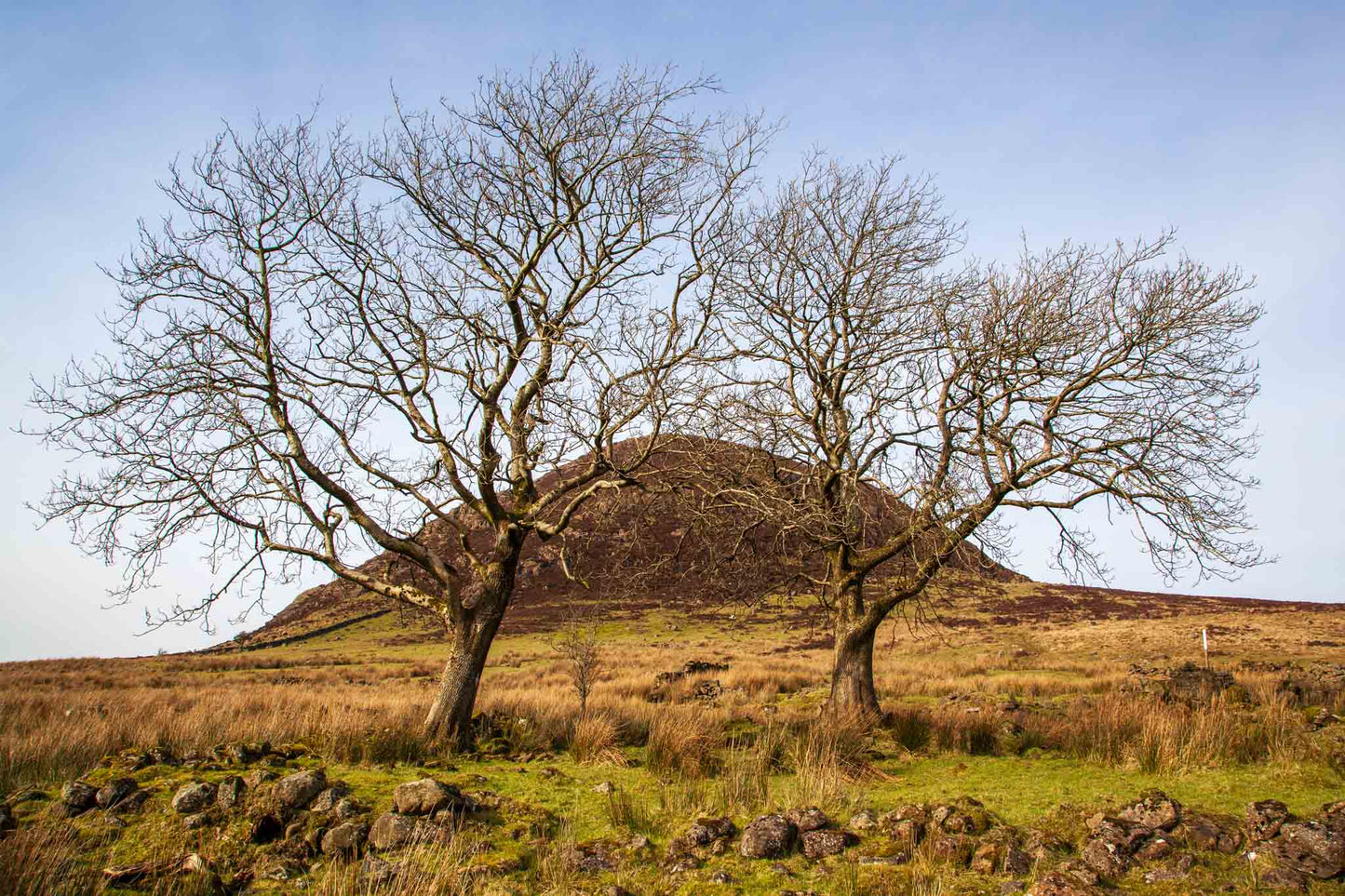 Slemish, Co. Antrim, Northern Ireland